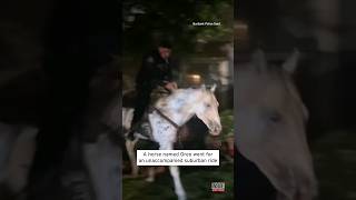 Riderless Horse Gallops Through California Neighborhood shorts [upl. by So]