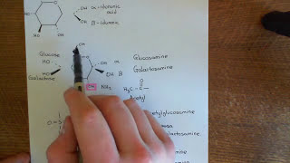 Antithrombin 3 and Heparin Part 7 [upl. by Ignatius968]