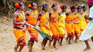 Rinjodi Dance Paroja Tribe Odisha Hindi [upl. by Yatnahs258]