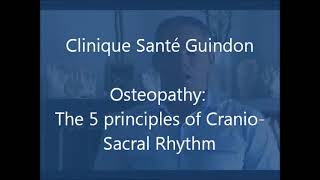 Five principles of the craniosacral rhythm [upl. by Eelirak535]