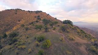 FPV Panul  Cerro Santa Rosa Mayo 2024 [upl. by Armond705]