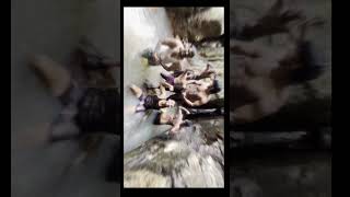 VALLI CHUNAI trekking trending music short nature hillstation dance hiddengem falls [upl. by Jaquith]