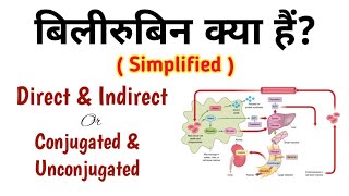 बिलीरुबिन क्या हैं Direct Bilirubin amp Indirect Bilirubin Conjugated amp Unconjugated Bilirubin [upl. by Scheck414]