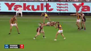 Round 1 AFL  Essendon v Hawthorn Highlights [upl. by Fancy396]