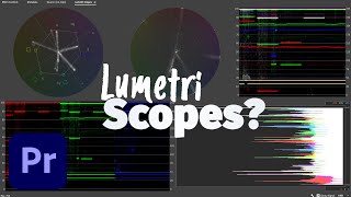 What are Lumetri Scopes in Adobe Premiere Pro [upl. by Golub392]