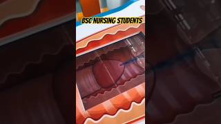 Bsc Nursing Students life 😱😱 gnm nursing course youtubeshorts trendingshorts ytshorts shorts [upl. by Laitselec]