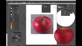 How To Creating Photo Realism with Adobe Illustrator CC [upl. by Eldora831]