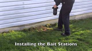 Termite Bait Station Installation [upl. by Aikrahs]