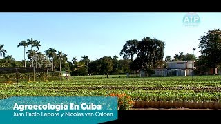 AGROECOLOGIA EN CUBA 2017  Juan Pablo Lepore amp Nicolás Van Caloen  CineArgentino  ATP [upl. by Samal]