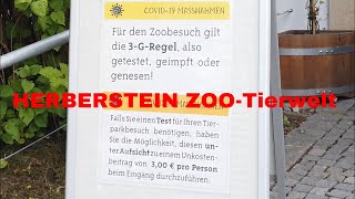 ZOOTierwelt Herberstein Austria 4K [upl. by Krenek215]