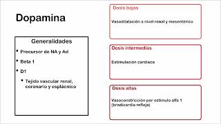 Agonistas Alfa y Beta Adrenérgicos [upl. by Boswell576]