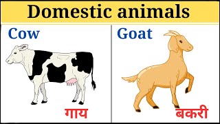 Domestic animals name with pictures domestic animals name in english and hindi [upl. by Hendry]