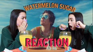 🍉Harry Styles Watermelon Sugar MUSIC VIDEO Reaction🍉 [upl. by Arramas]