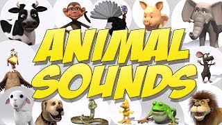 Learn Animal Sounds [upl. by Ramyaj]