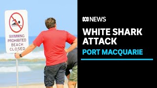 Man in serious condition after being bitten by white shark  ABC News [upl. by Wakerly86]