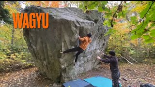 Wagyu V5 ✅ KAMOURASKA 🇨🇦 Bouldering 🪨 [upl. by Nhguaval]