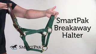 SmartPak Breakaway Halter Review [upl. by Annayrb]