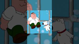 Beer that never goes flat petergriffin familyguyclips familyguy [upl. by Recor]