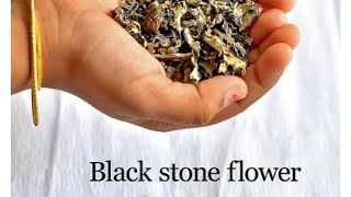 கல்பாசி  Black Stone flower Kalpasi Part2 [upl. by Kerge]