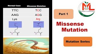 Missense Mutation NonSynonymous Mutation Its types and examples [upl. by Eecram30]