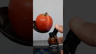 Lighter vs Tomato  Exciting Test of Various Lighters on Tomatoes 🔥🍅 shorts viral challenge [upl. by Suirad429]