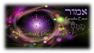 quot Puertas Universales quot Parashah Emor [upl. by Burack]