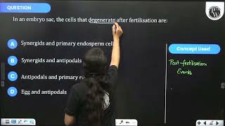 In an embryo sac the cells that degenerate after fertilisation are [upl. by Piderit917]