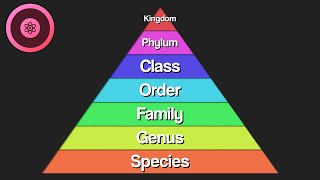 How Do We Classify Living Things  The Taxonomy Song  Orion Science [upl. by Rinaldo759]