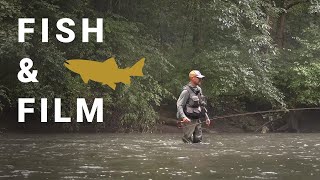 Fish and Film Home Waters  Terrestrial Dry Flies and Terrestrial Nymphs  Wild Trout in the Woods [upl. by Oirrad]