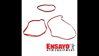 ENSAYO Product Feature Loop Bands and Therapy Bands Resistance Workouts Can be done anywhere [upl. by Yreva]