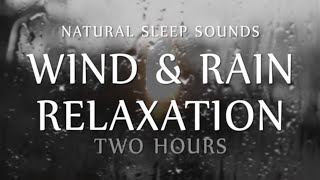 Wind and Rain Relaxation Two Hours Natural Sleep Sounds White Noise for Sleep Study Meditation [upl. by Lowrie893]