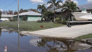 Harlem Heights locals are fed up with the flooding issues they faced with Milton [upl. by Tony]