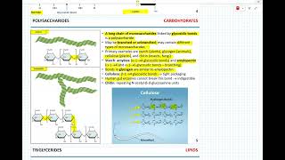 Week 3  Biological macromolecules [upl. by Elinet]