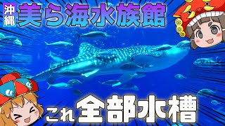 【日本最大級】「沖縄美ら海水族館」黒潮の海水槽が壮観すぎた！（前編）【水族館観光ゆっくり解説】 [upl. by Rimidalv435]