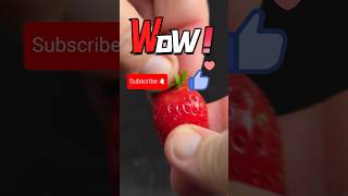 Plucking Strawberry Close Up 🧐🤩MACRO SHOTS CLOSE UP ASMR closeup asmr shorts [upl. by Sixla441]