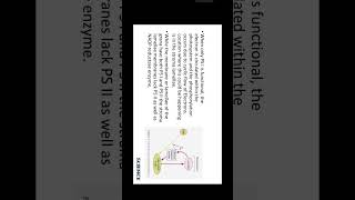 Cyclic And NonCyclic Photophosphorylation Class 11 youtubeshorts shortvideo shorts biology [upl. by Roselyn925]