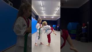 Taekwondo Children  Kicks Training [upl. by Otsuj]