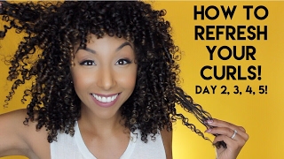 How To Refresh Your Curls Day 2 3 4 5 Curls  BiancaReneeToday [upl. by Fairlie]