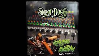 Snoop Dogg  Roaches In My Ashtray Audio Ft Pro Hazak [upl. by Marleen494]