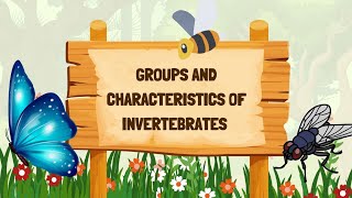 Groups of invertebratesGroups and Characteristics of invertebrates Characteristics of invertebrate [upl. by Htrowslle303]