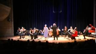 Bach  Violin Concerto in A Minor BWV 1041  I Allegro [upl. by Lebasi]