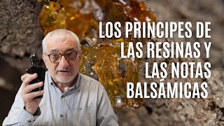 LOS PRINCIPES DE LAS NOTAS RESINOSAS Y BALSAMICAS perfumes [upl. by Ihtac259]