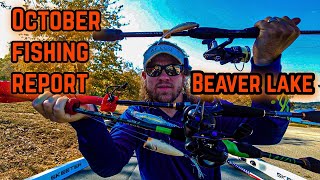 Octobers SHOCKING Beaver Lake Fishing Report Revealed [upl. by Kciredes]