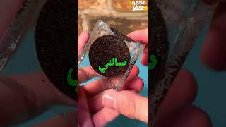 مهو دا الي قلتله للأستاذ 😂 [upl. by Gee581]