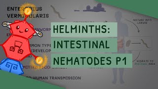 Helminths Intestinal Nematodes Part 1 features clinical importance diagnosis treatment [upl. by Telford]