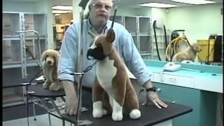 Groomers Helper Training Video [upl. by Grange234]