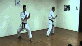 Shotokan Kata  Heian 15 amp Tekki 1 [upl. by Narut324]