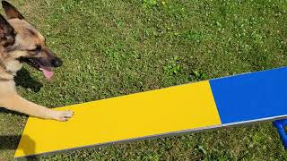 Agility Aluminum Teeter Plank 350791 [upl. by Orsini]