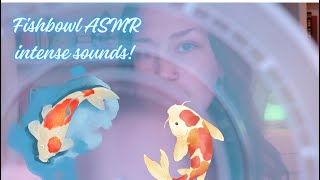 Fishbowl ASMR Fast and aggressive [upl. by Jaret]