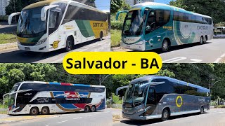 Movimentação de Feriadão na Rodoviária de Salvador  BA [upl. by Nilesoj485]